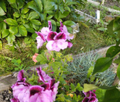 коттедж 10 кв м Садовая улица