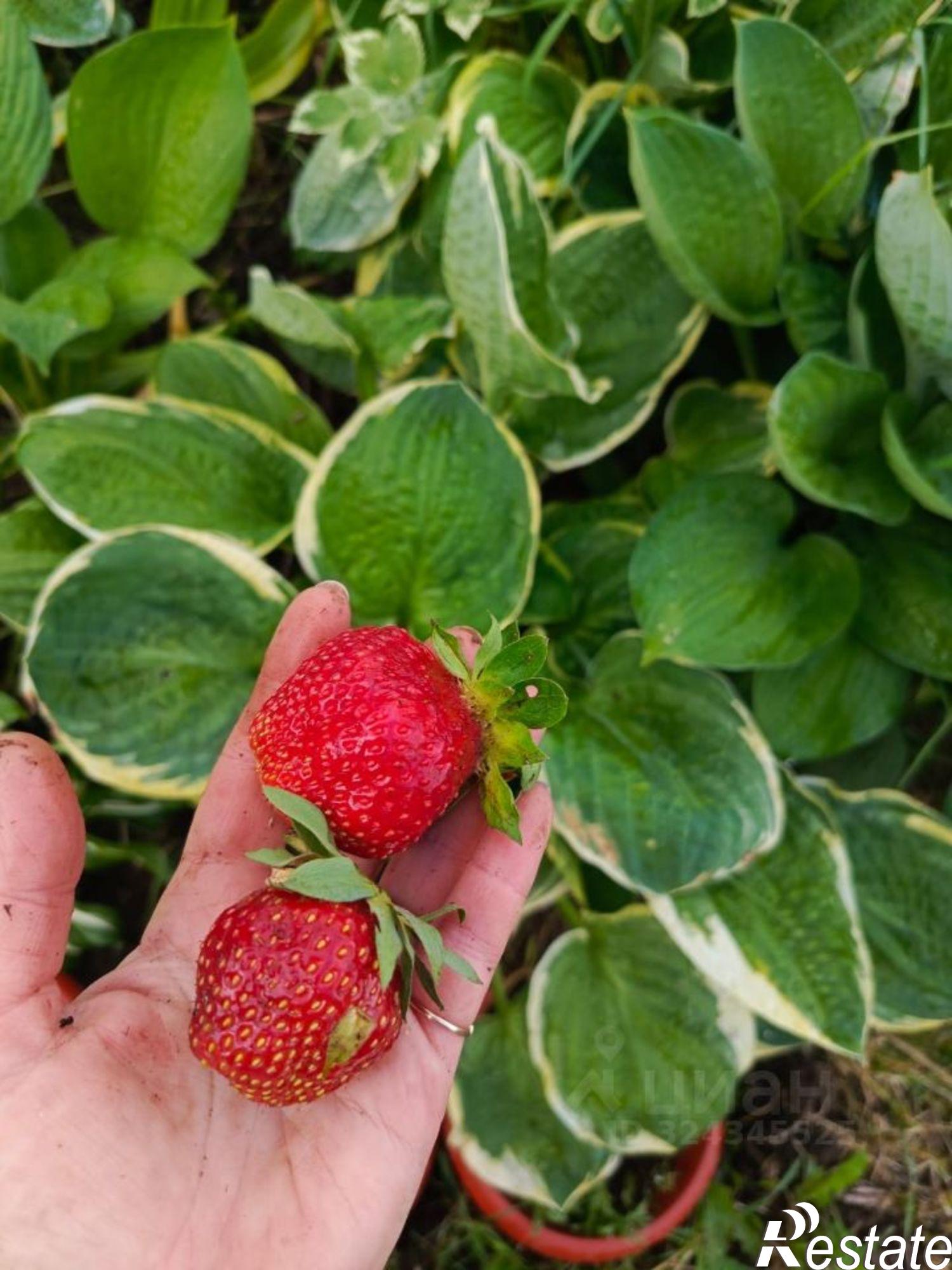 Купить дачу, дом, коттедж за 900 000 рублей на Кирпичный ДОЦ