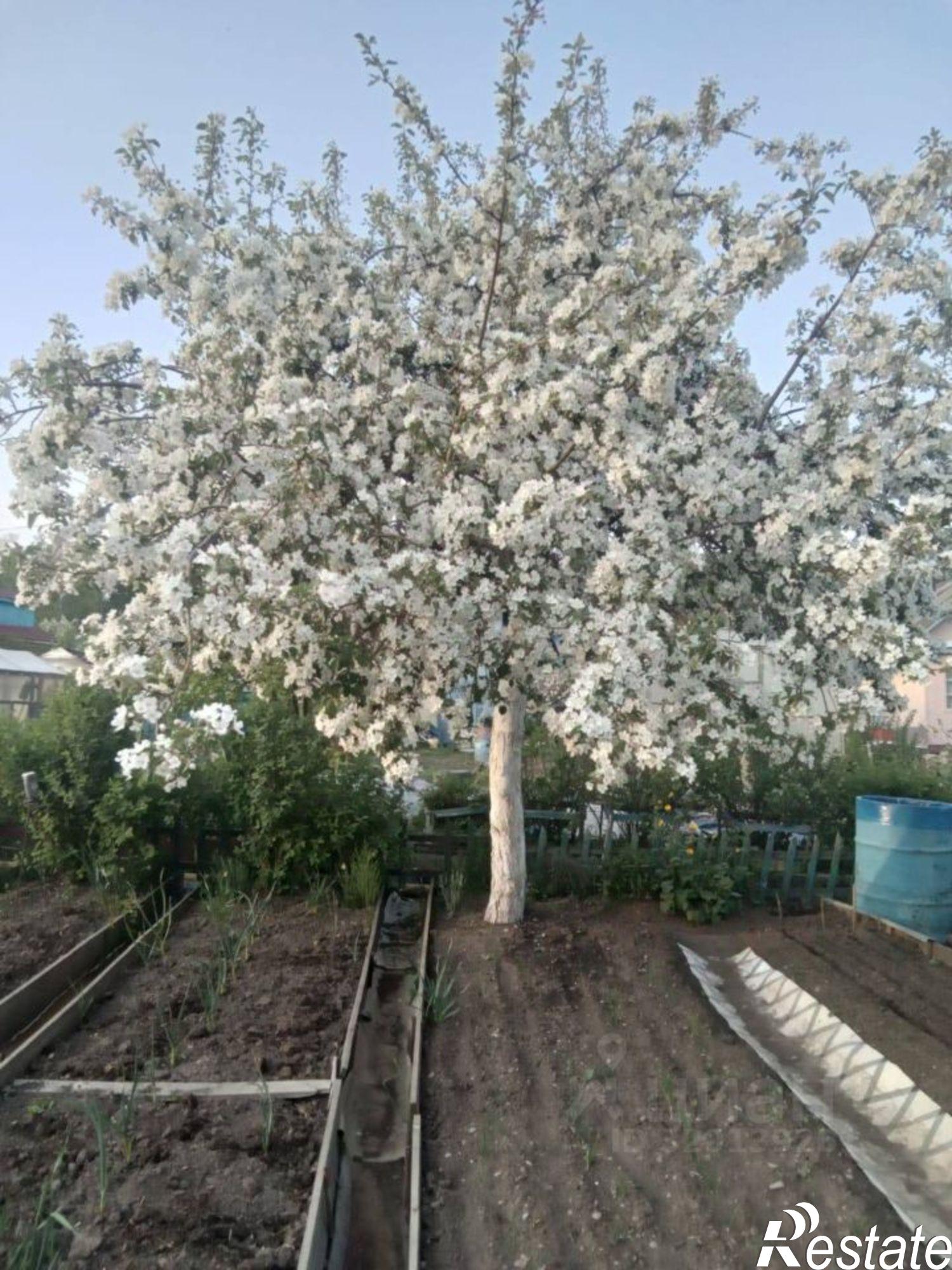 Купить дачу, дом, коттедж за 850 000 рублей на Миасский тракт