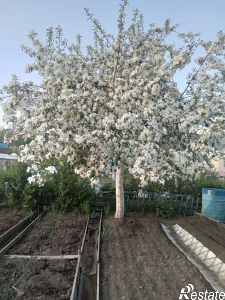 Коттедж/дом Миасский тракт